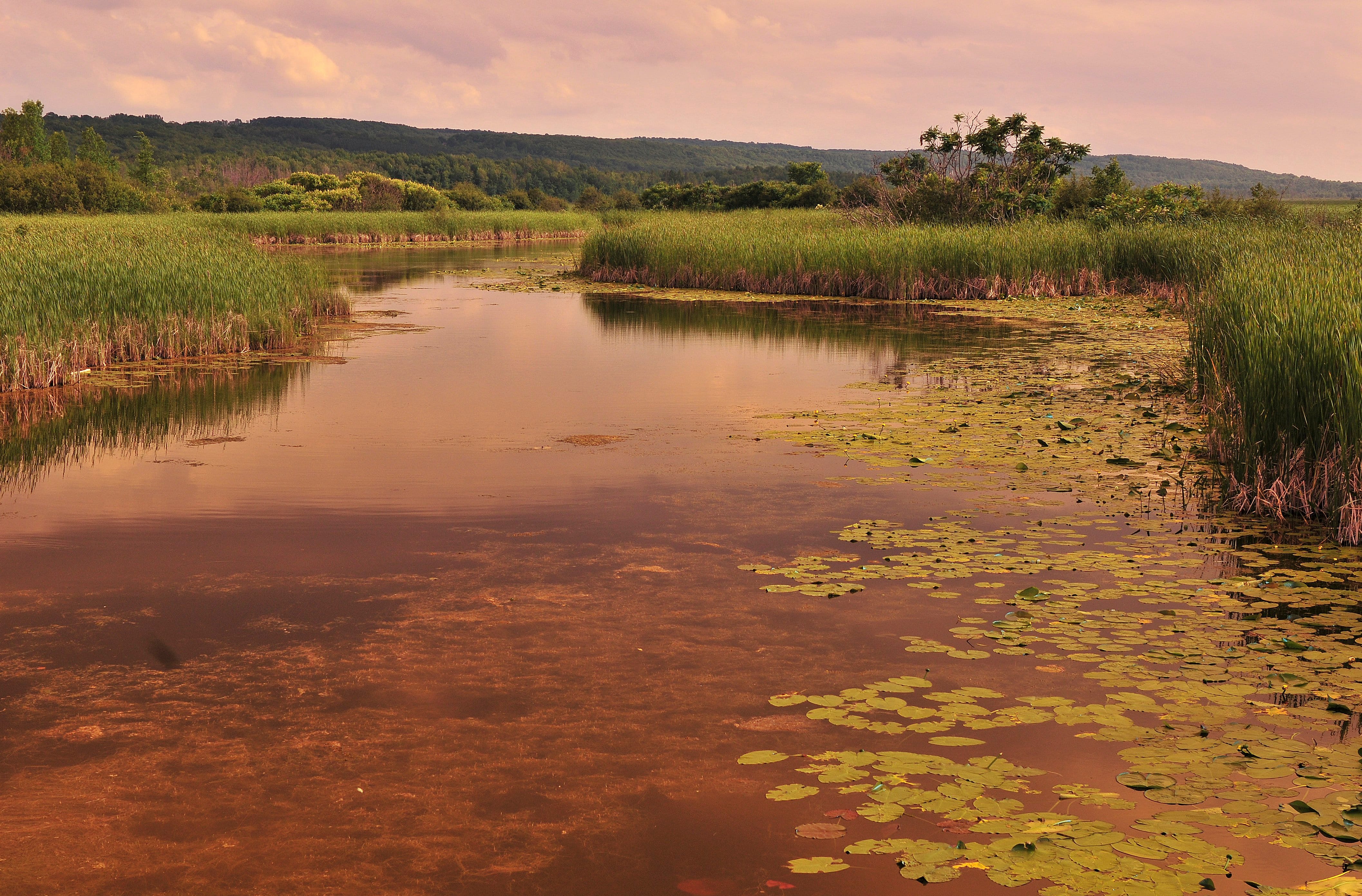 Ontario’s Biodiversity Strategy 2023-2030