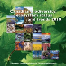 Cover of 2010 Ecosystem Status and Trends report