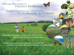 Protecting what sustains us - poster